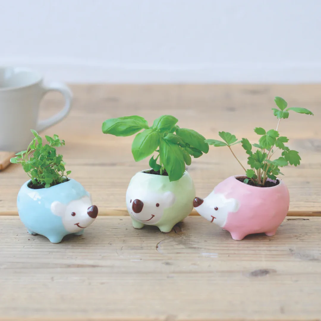 Hedgie Green - Growing Garden