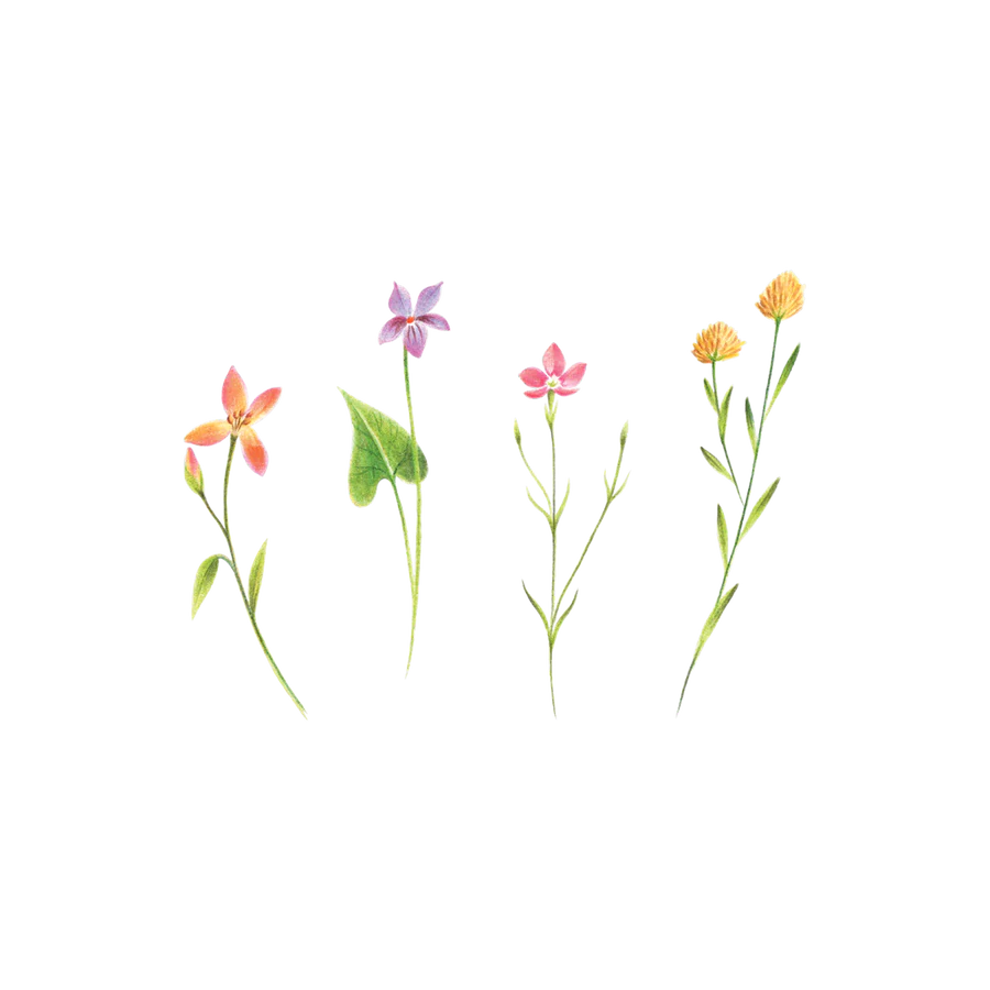 Petite Floral Tattoo